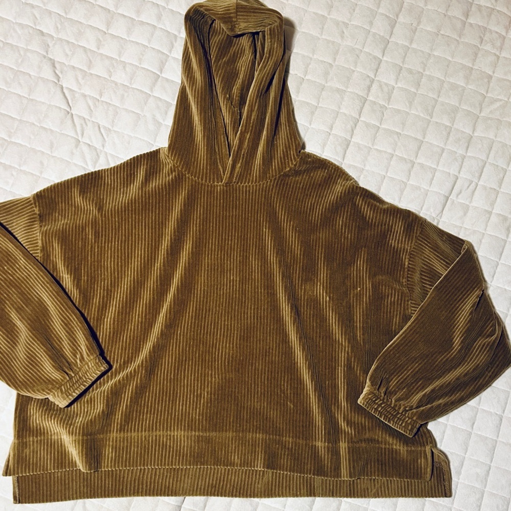 Aerie “Groove On” Velour Hoodie in Dark Green/Brown